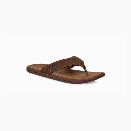 UGG Seaside Leather Brown Flip Flops for Men (KDBZ53460)